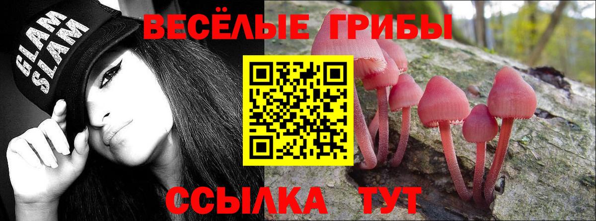 Псилоцибиновые грибы мицелий  Псилоцибиновые грибы Psilocybine cubensis  Вход с VPN  Кунгур 